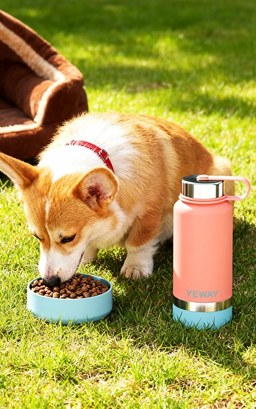 Custom Pet Water Bottle